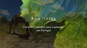 DIA DA ÁRVORE COM O REWILDING PORTUGAL